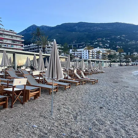 Palm Menton