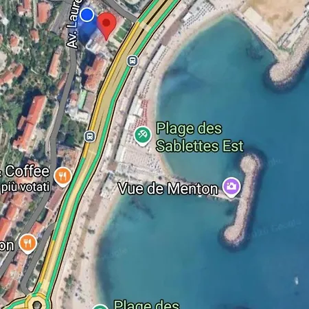 Palm Menton