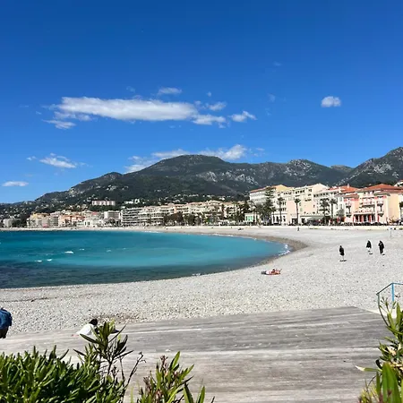 Palm Menton
