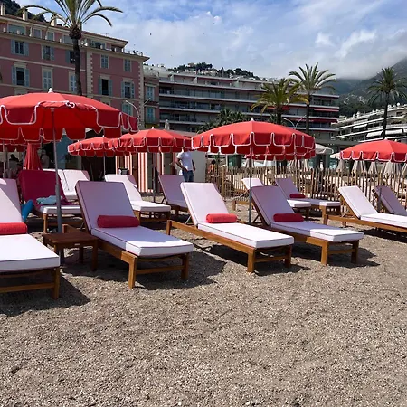 Palm Menton